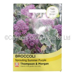 Thompson & Morgan Broccoli Sprouting Summer Purple